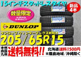ダンロップ 2018年製 スタッドレスタイヤ WM01 送料無料 DUNLOP 即決 