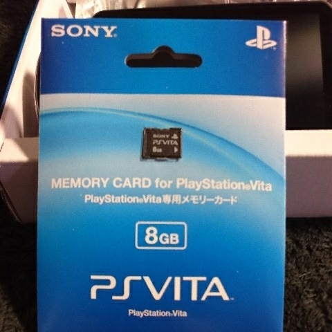 PS VITA 3G wi-Fi PCH-1100 AA01 Minecraft メモリーカード8G 他おまけ 