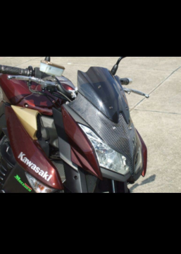 クレバーウルフ | フェイスマスク CLEVER z1000 のパーツレビュー Z1000(エル Z1000 WOLFのZ1000対応ドレスアップパーツ2点 パーツ 2010-2013 MagicalRacing ninja1000 バイク Webike GRAVITY