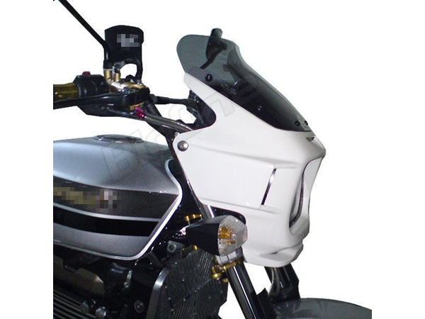 BigOne エアロType ZRX1200R ZRX400 ZRX1100 ビキニカウル エアロ