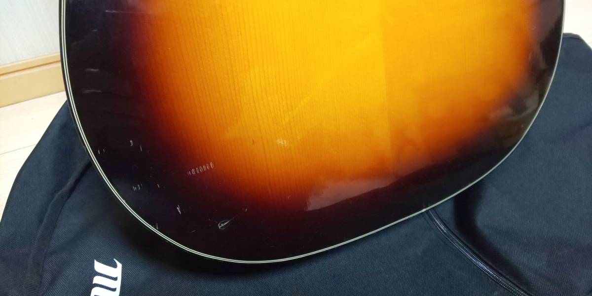 MORRIS Morris | TS アコースティックギター - モーリス モーリス純正 