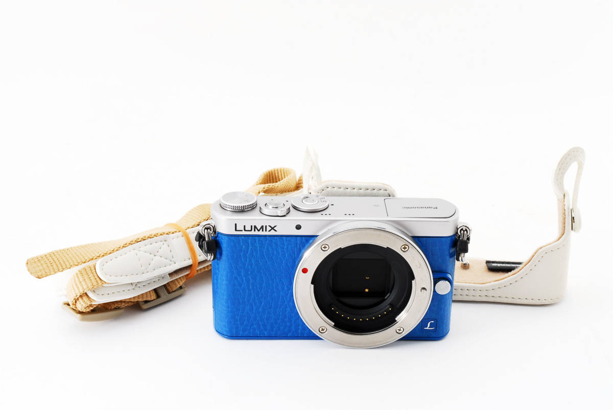 ☆緊急大特価☆ パナソニック Panasonic LUMIX DMC-GM1S ボディ #738