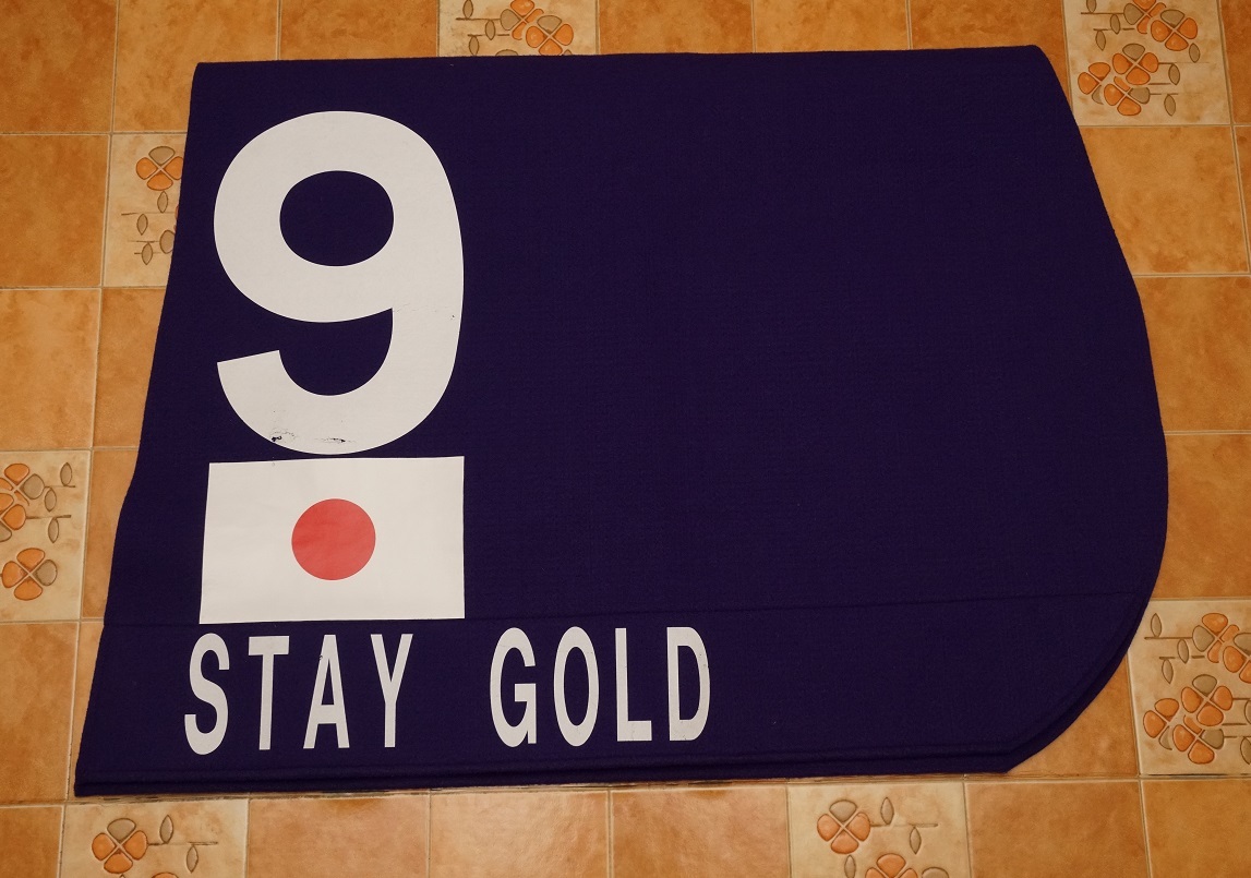 ステイゴールド（STAY GOLD ／ 黄金旅程） 香港ヴァーズ レプリカ