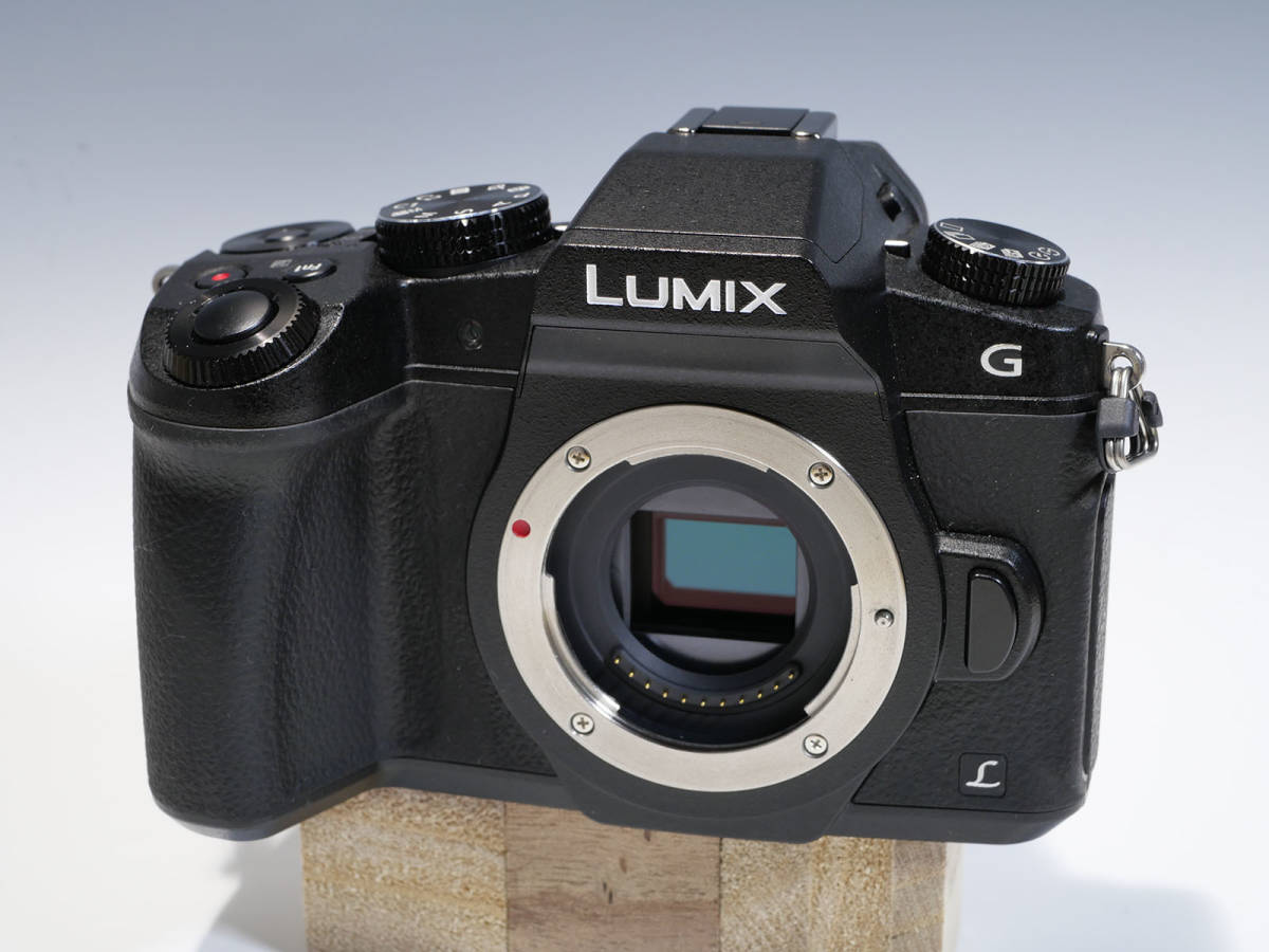 パナソニック ルミックス Lumix G8 ボディ 【公式通販】
