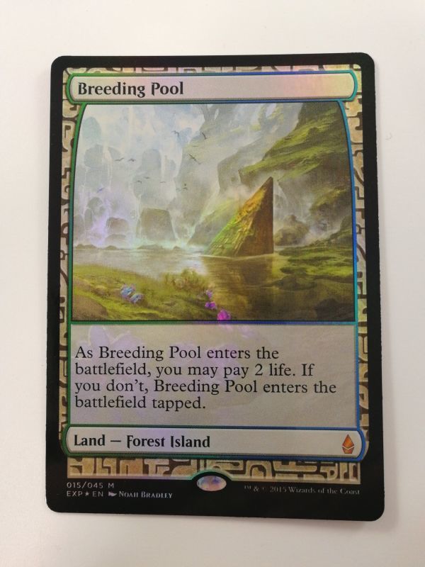 MTG 繁殖池 / Breeding Pool (A) Zendikar Expeditions Foil MTG 繁殖