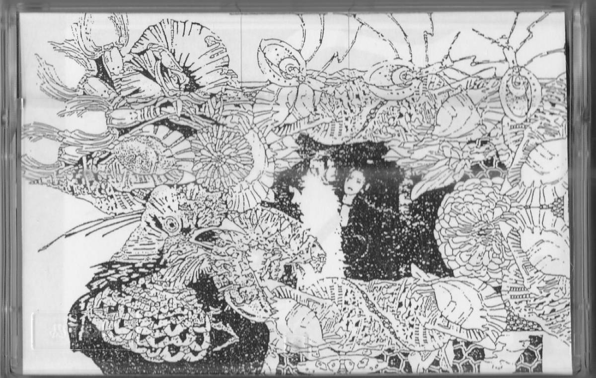 月下美人★『Monochrome』★V系、新宿ゲバルト ※再出品