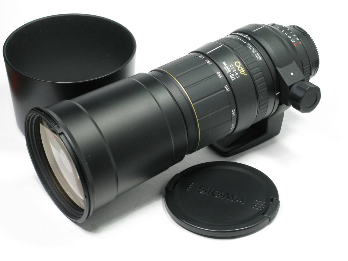 初心者王道 Canon EF-S 55-250mm IS II 望遠レンズ 初心者オススメ⭐️望遠レンズ Canon EF-S 55-250mm IS Ⅱ Canon EF-s