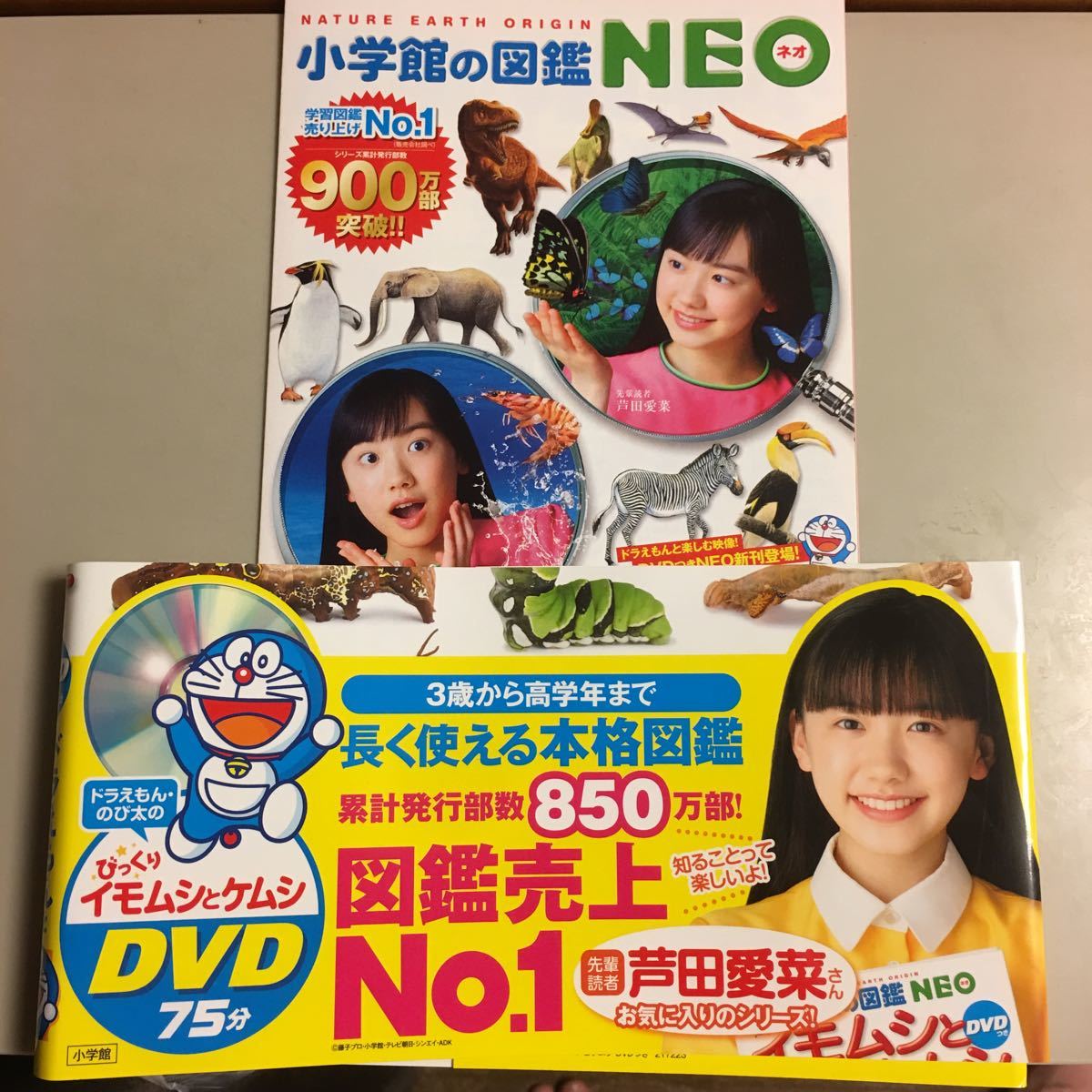 芦田愛菜 小学館の図鑑 NEO リーフレット 非売品 未読 ＋ 図鑑帯 送料 