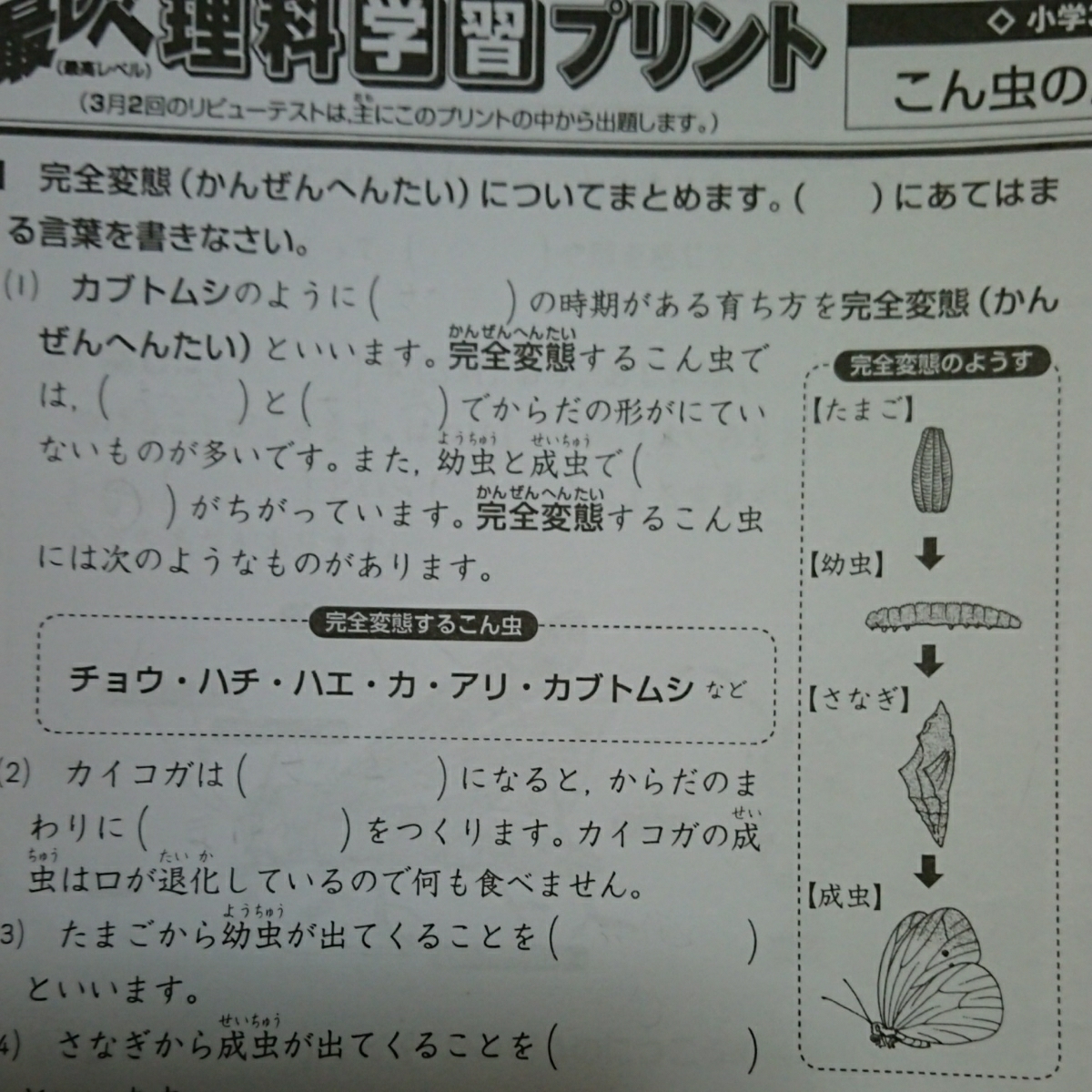 奨学社 小３理科 授業プリント １年分