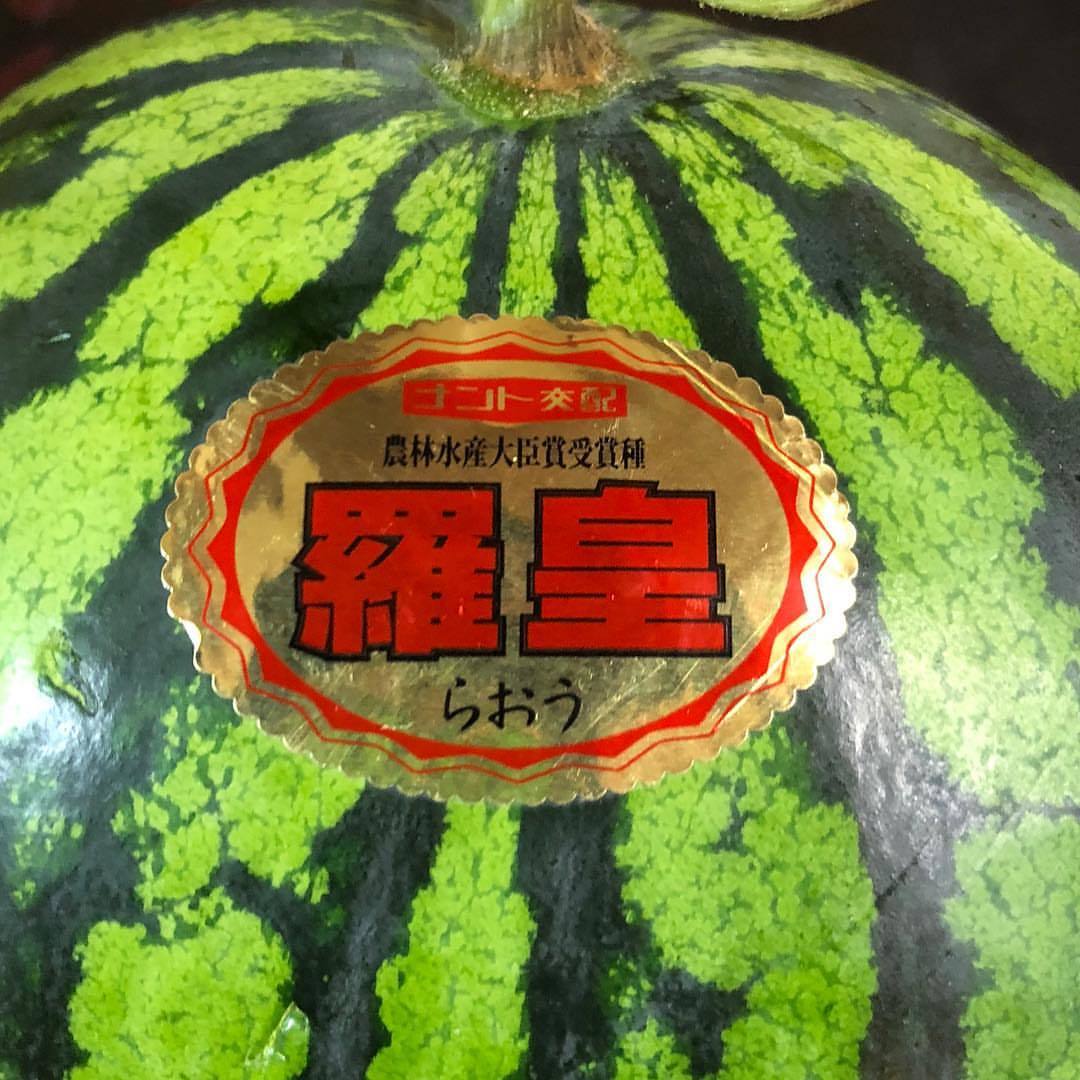 【収穫中】限定1玉！スイカの王様【羅皇・ラオウ】大玉 ９ｋｇ以上 クール便発送・農林水産大臣賞受賞①