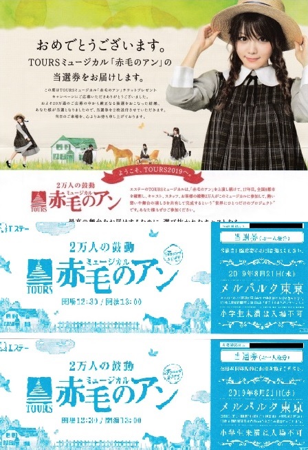 ミュージカル「赤毛のアン」 チケット 2枚 メルパルク東京　8/21(水）非売品