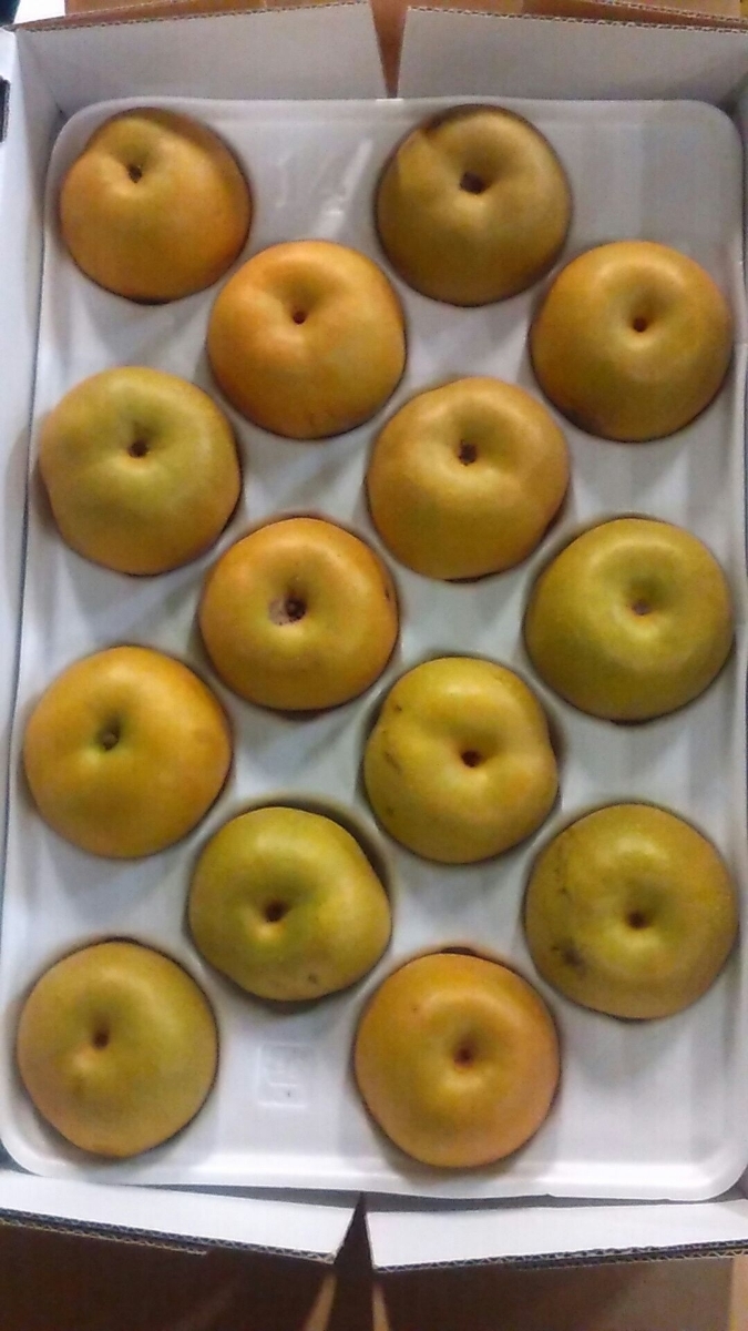  お待たせ致しました 毎年大好評 梨 豊水(梨)｜売買されたオークション情報、yahooの商品情報をアーカイブ公開 - オークファン 梨