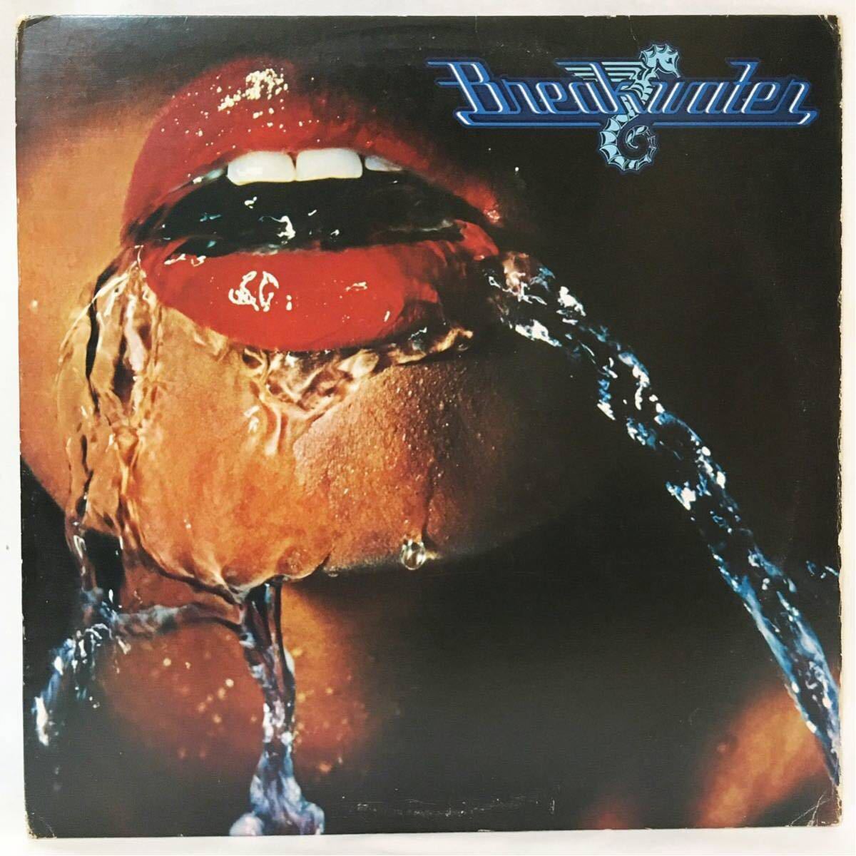 新品，人気セール USオリジナル BREAKWATER / S.T.(R&B、ソウル)｜売買されたオークション情報、yahooの商品情報をアーカイブ公開 - オークファン Ru0026B、ソウル