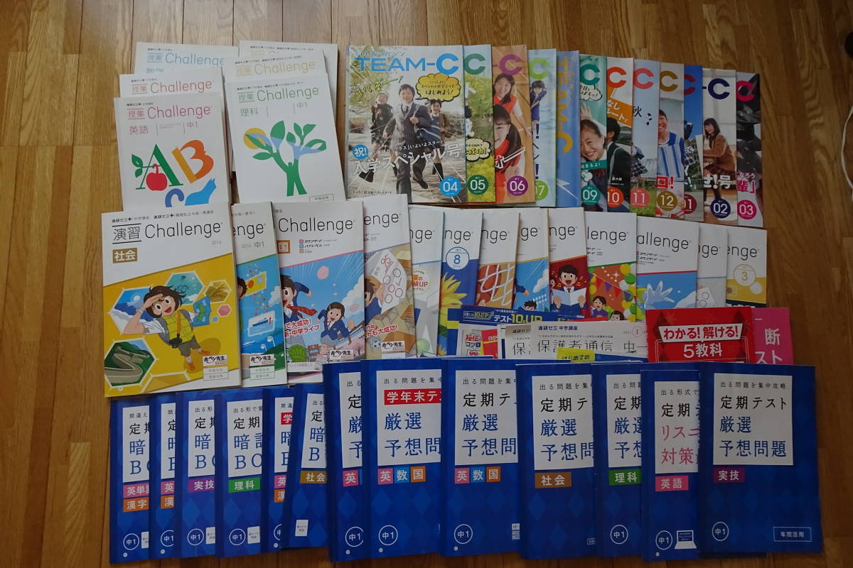 ☆進研ゼミ中学講座オリジナル1年生用☆2016/4月・6月～
