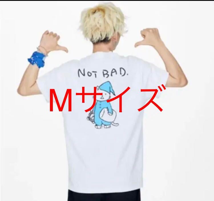 BUMP OF CHICKEN バンプオブチキン ロンT Mサイズ BUMP OF CHICKEN