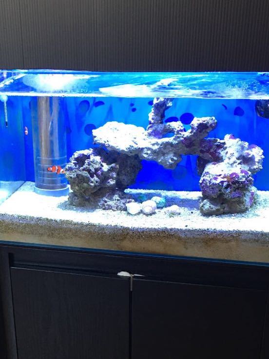 ファンネル2 150W カミハタ ①神畑養魚株式会社 HID照明器 FAN-150