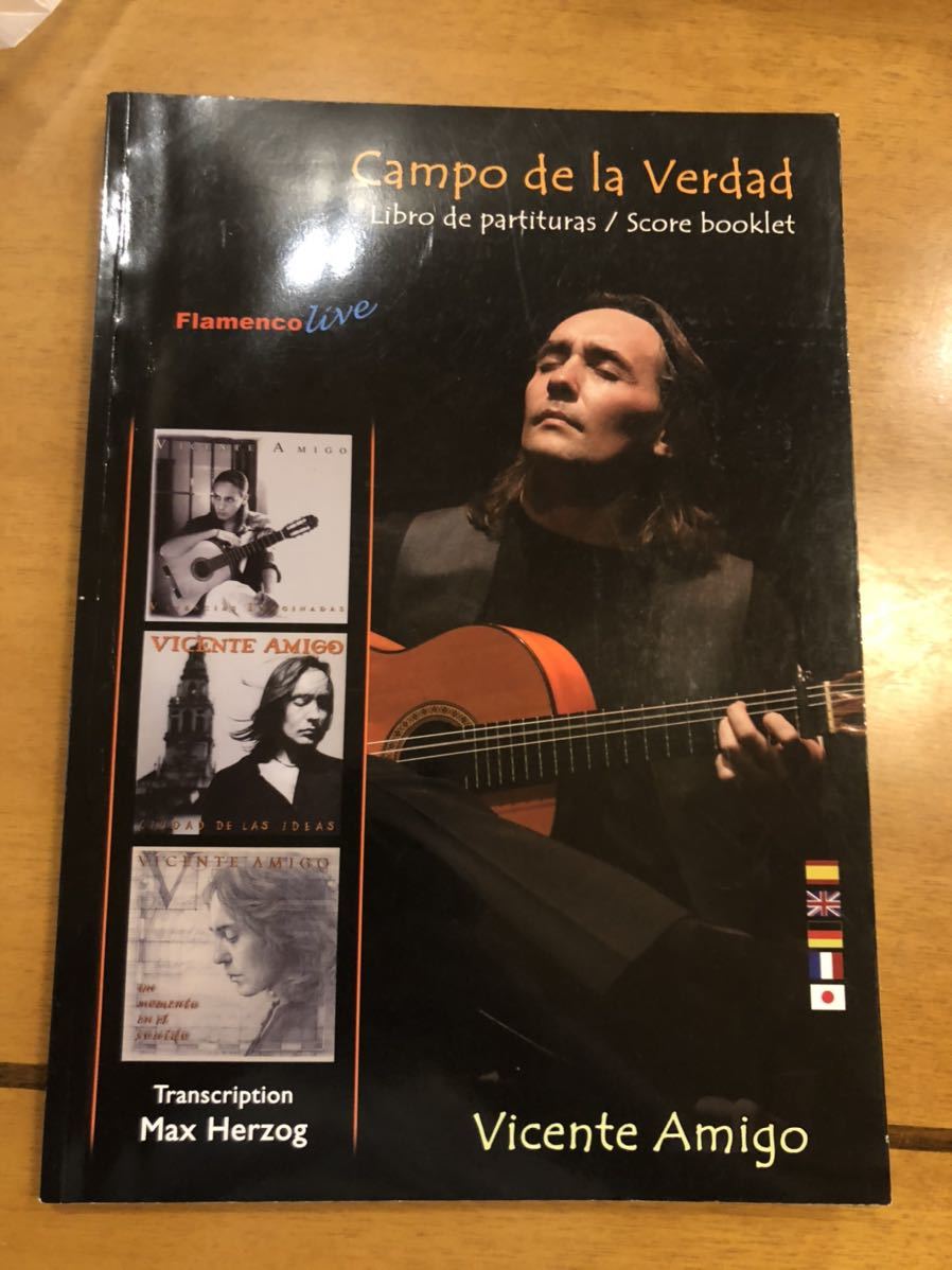 Vicente Amigo Campo de la Verdad ビセンテ 本