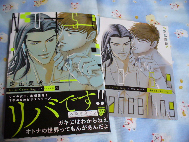 ノイズのリーフレット