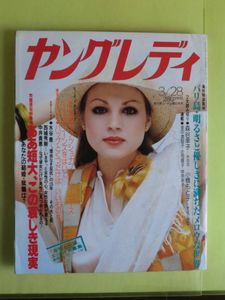 ヤングレディのYahoo!オークション(旧ヤフオク!)の相場・価格を見る