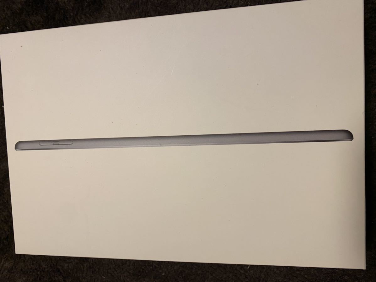iPad mini 最新 5世代 64GB スペースグレイ 数日間のみ使用 Apple iPad
