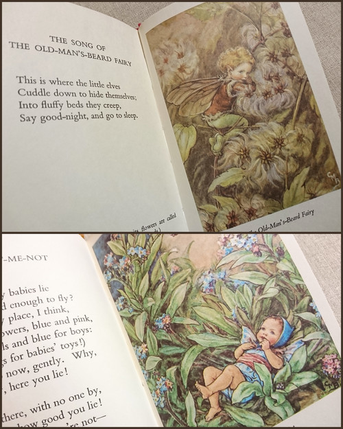 森永ハイクラウンflower Fairies フラワーフェアリーズ洋書7冊セット 英国画家シシリー メアリー バーカー花の妖精 画集絵画イラスト古書 画集 売買されたオークション情報 Yahooの商品情報をアーカイブ公開 オークファン Aucfan Com