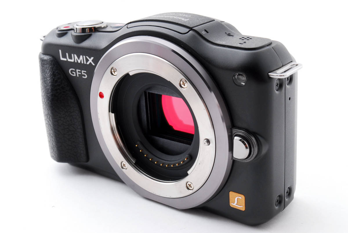 Panasonic □シャッター数255枚！極上品□ PANASONIC DMC-LX100 