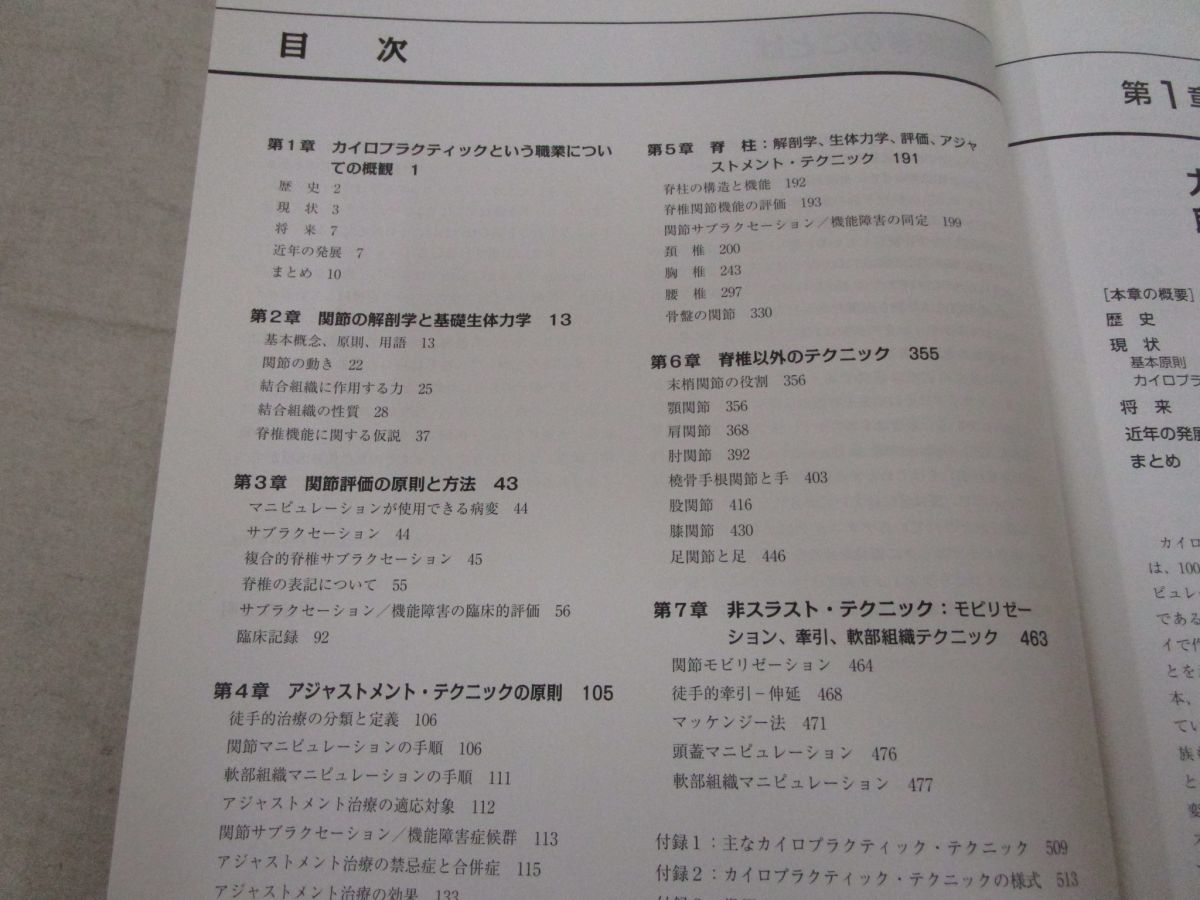2026年最新カイロプラクティック総覧の人気アイテム メルカリ カイロ 