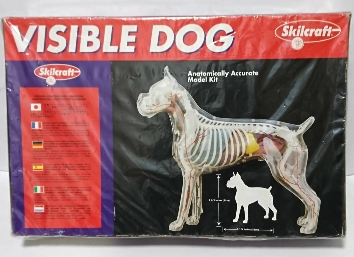 処分 Skilcraft Visible Dog 組立式 プラモデル 透明 犬 内臓 骨格標本 1円 アメリカ製 生き物 売買されたオークション情報 Yahooの商品情報をアーカイブ公開 オークファン Aucfan Com