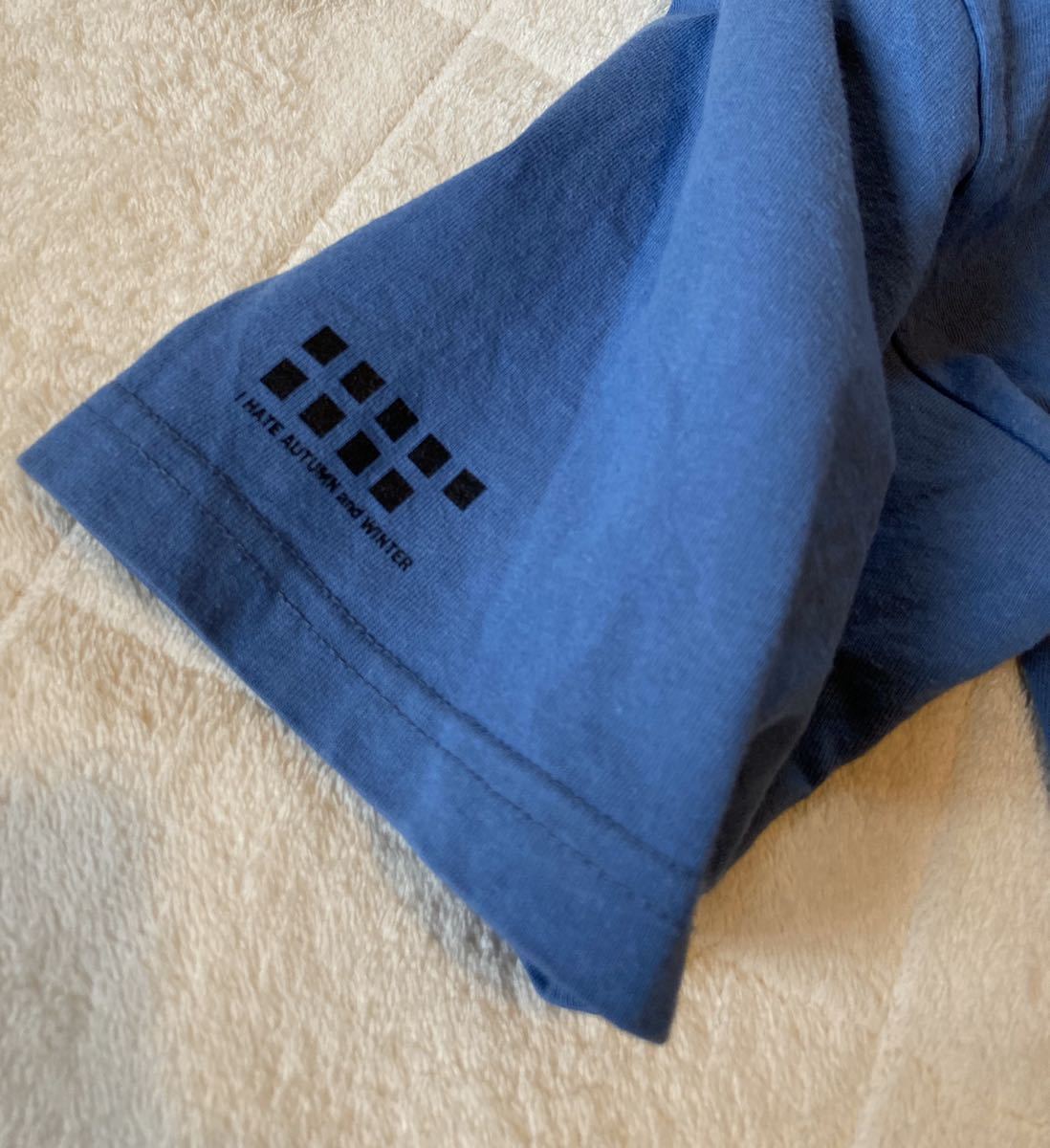 SFC☆THE BLUES BROTHERS SNES 海外版 端子清掃済み The Blues