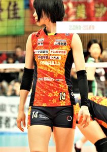 女子バレー 宮下遥のYahoo!オークション(旧ヤフオク!)の相場・価格を