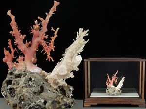珊瑚 置物のYahoo!オークション(旧ヤフオク!)の相場・価格を見る