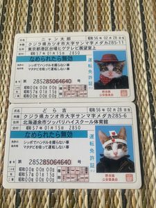 なめ猫のYahoo!オークション(旧ヤフオク!)の相場・価格を見る｜Yahoo