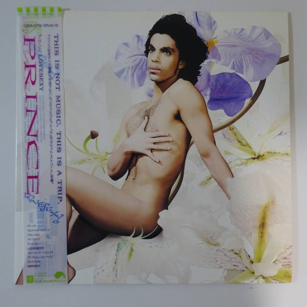 ショパン フー・ツォン 初期盤 VDC 夜想曲全集 [2LP] フー・ツォン／ショパン - Maestro VICTOR | Yahoo!オークション 0517S ⁄ 他 -ショパン全集の中古品・新品・未使用