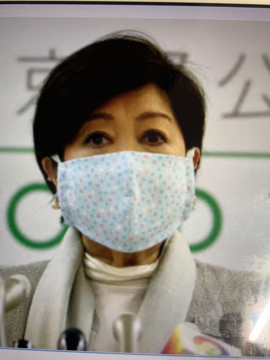 マスクカバー インナーマスク 小池百合子都知事同柄同色 ハート ブルー 
