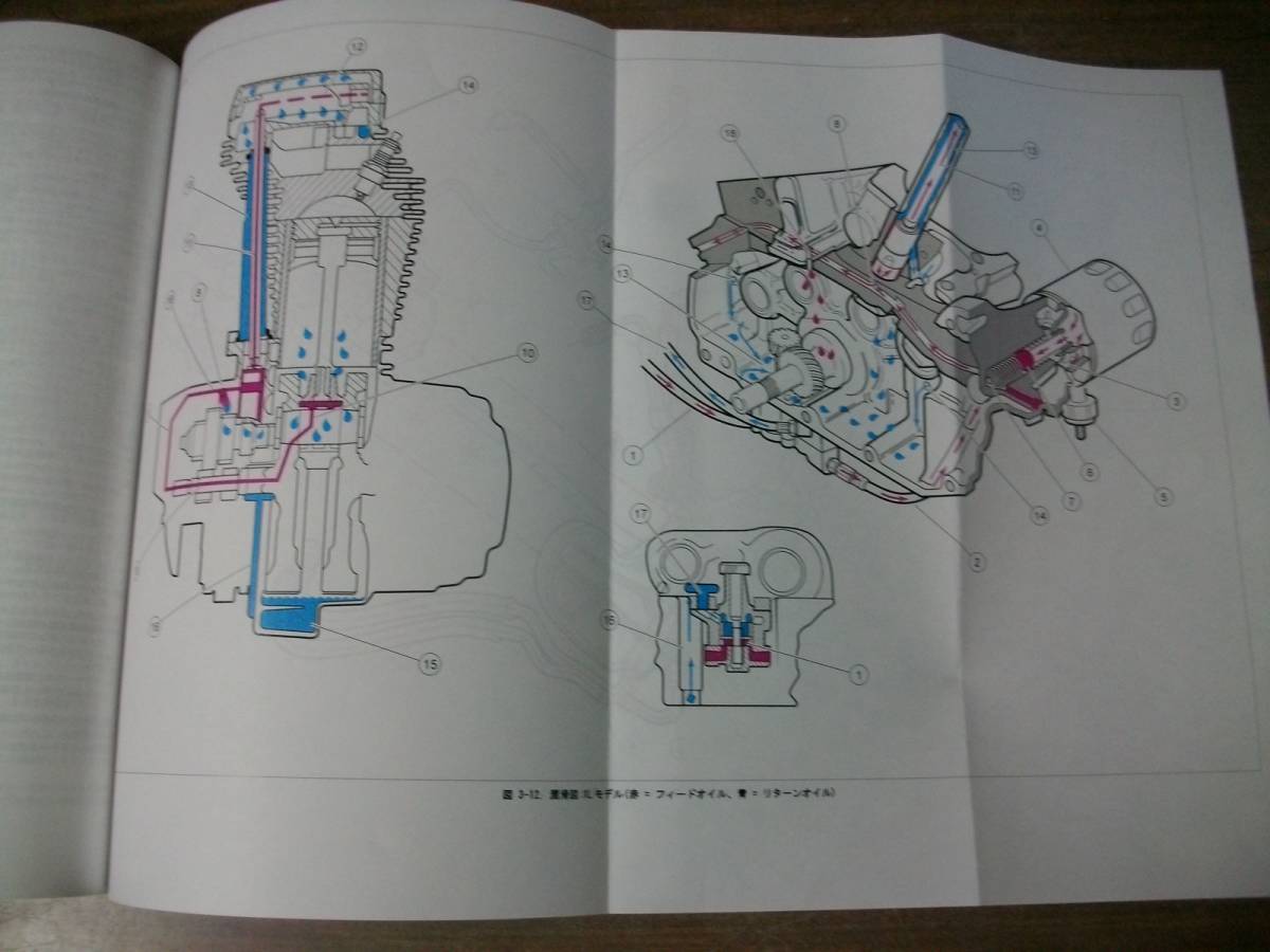 全国無料，最新作 2009年 日本語版 スポーツスター サービス