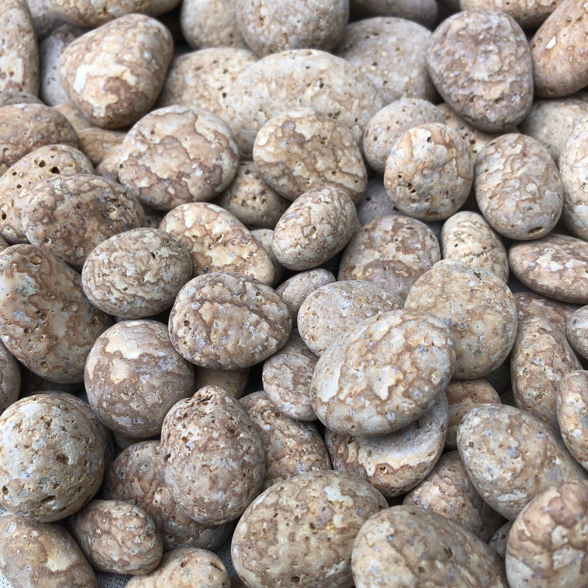 【人気定番，最新作】 糸魚川産薬石 姫川薬石 秋のお得10キロセット② 青海薬石(原石)｜売買されたオークション情報、yahooの商品情報をアーカイブ公開 - オークファン 原石