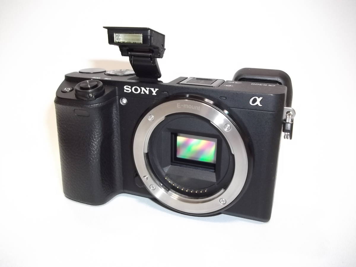 フルスペクトル改造 天体撮影 SONY ミラーレス 一眼 E α6300 ソニー 
