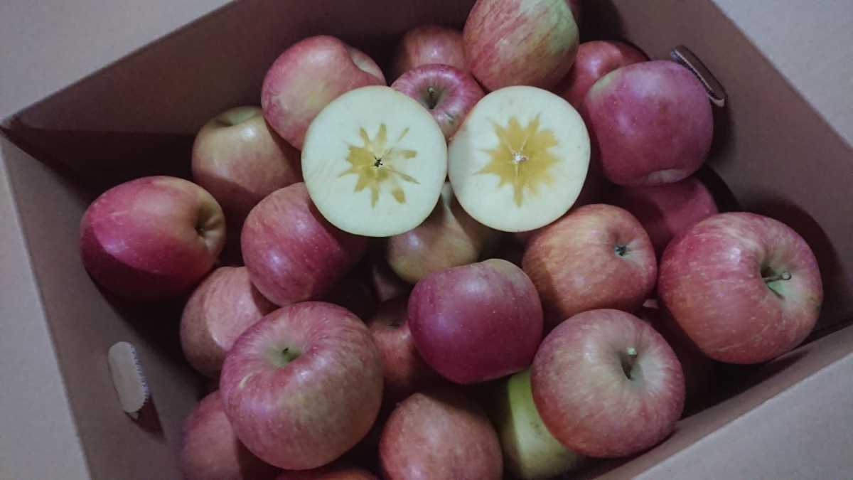  青森県産りんご 葉とらずサンふじ もぎ実 家庭加工用 大中玉 約19㎏前後 約65前後⑫残りわずか(リンゴ)｜売買されたオークション情報、yahooの商品情報をアーカイブ公開 - オークファン リンゴ