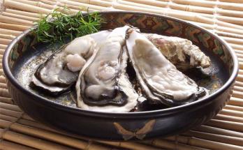 高品質，送料無料 宮城 女川発 新鮮 殻付きカキ20kg ひえひえクール代 牡蠣 かき っかいよ １０９８０円(カキ)｜売買されたオークション情報、yahooの商品情報をアーカイブ公開 - オークファン カキ