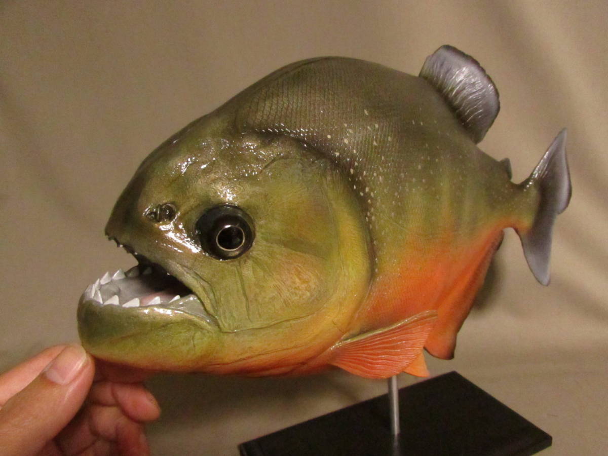 ハンドメイド38cmピラニア オレンジ フィギュア レプリカ 熱帯魚 模型