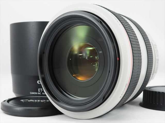 ☆新品級☆Canon EF 70-300mm F4-5.6 L IS USM 元箱有 #6226MC 【公式
