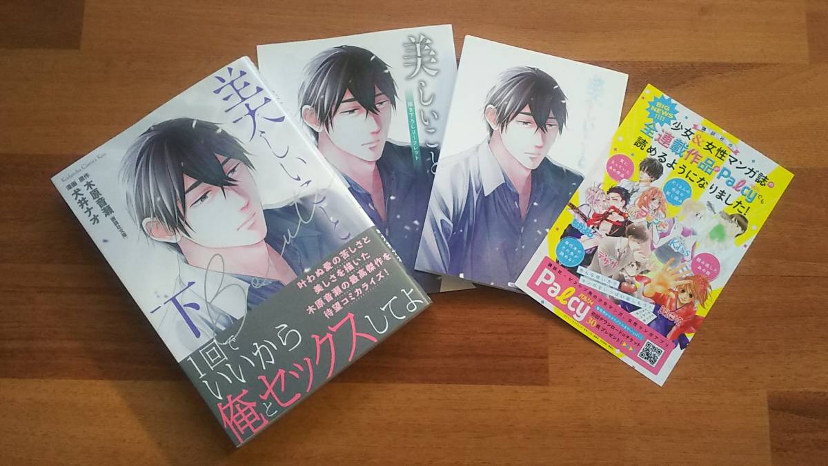 犬井ナオ 木原音瀬 Kcdx Kiss 美しいこと 下巻 出版社特製ssペーパー コミコミ特典描き下ろしリーフレット付 ボーイズラブ 売買されたオークション情報 Yahooの商品情報をアーカイブ公開 オークファン Aucfan Com