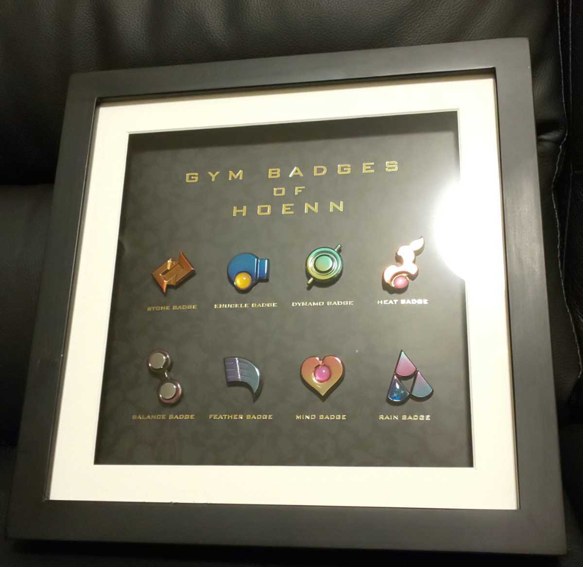 お気にいる ホウエン ジムバッジコレクション ポケモンセンター ゲームキャラクター