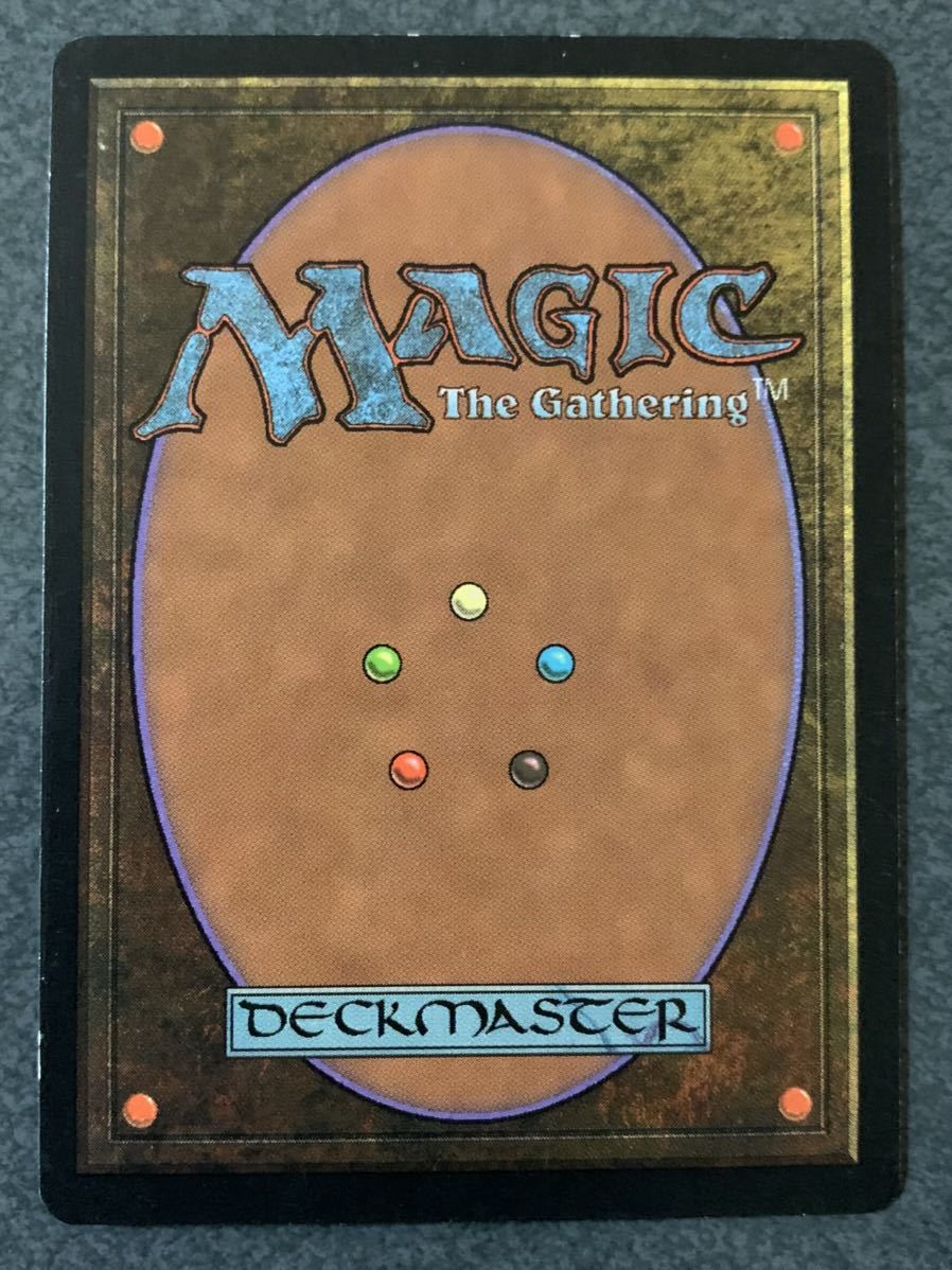 MTG TMP 葉の王エラダムリー 英語版 MTG 葉の王エラダムリー 【公式通販】