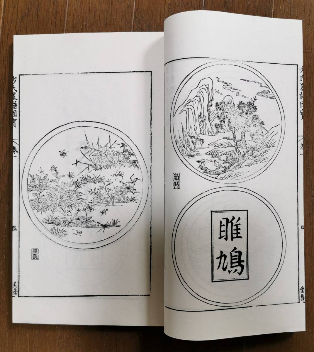 中国古本『寿世保元』10冊揃 明代医学書 龔廷賢著 唐本 漢方 骨董 古文書 古籍数字化- 新刊医林状元寿世保元全10卷明·龚廷贤编撰明大业堂刻本