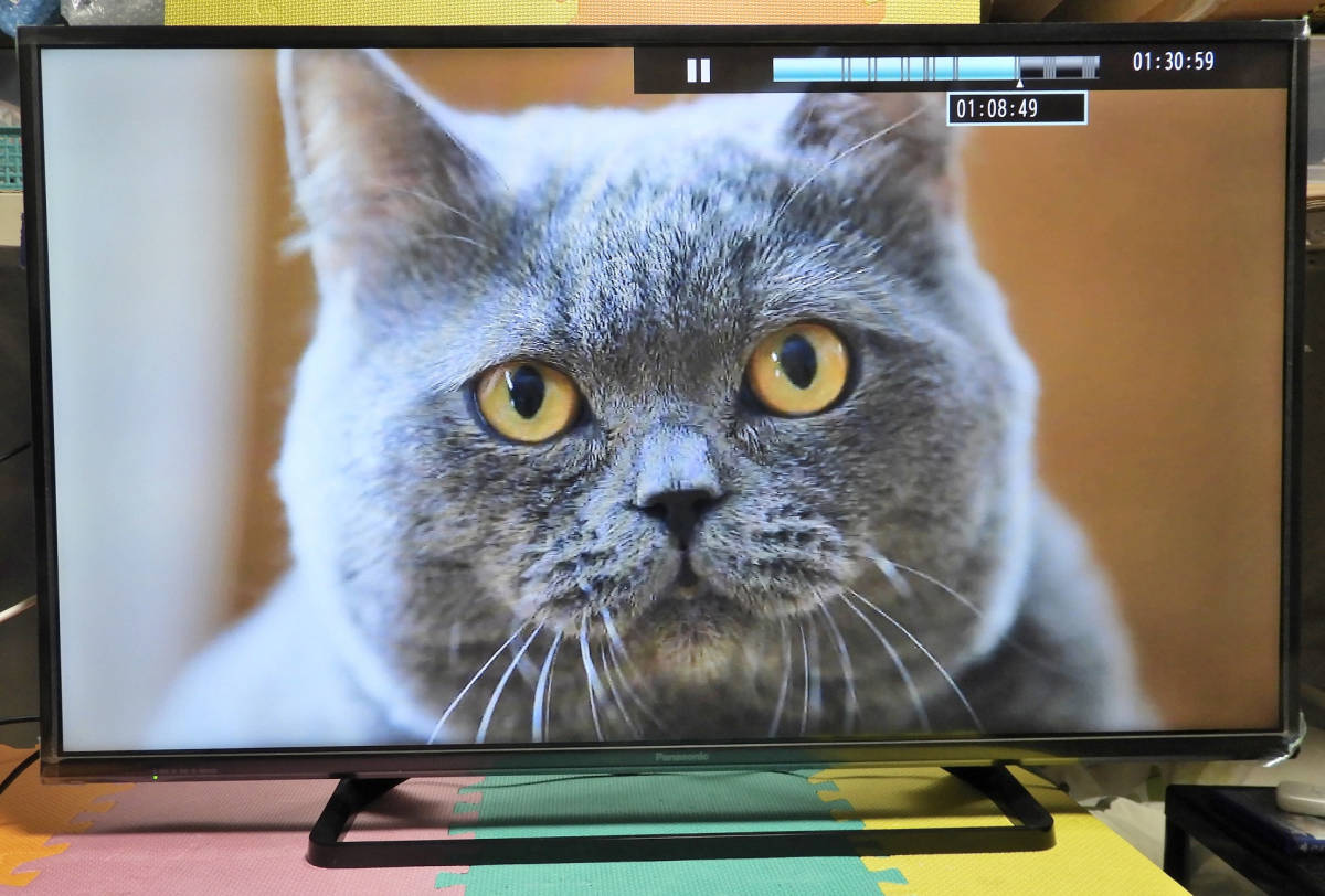 42型/ パナソニック・VIERA/ TH-42C300/ 2015 年製/ 中古 ： フル 