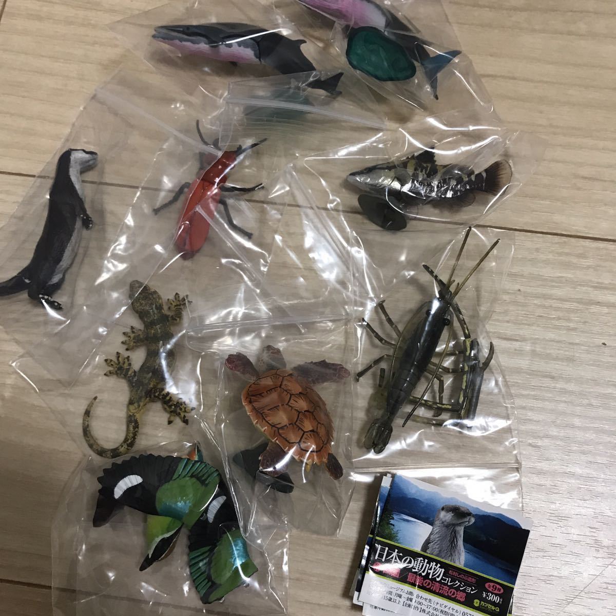 カプセルQミュージアム 海洋堂カプセルQミュージアム 四国⁄最後の清流