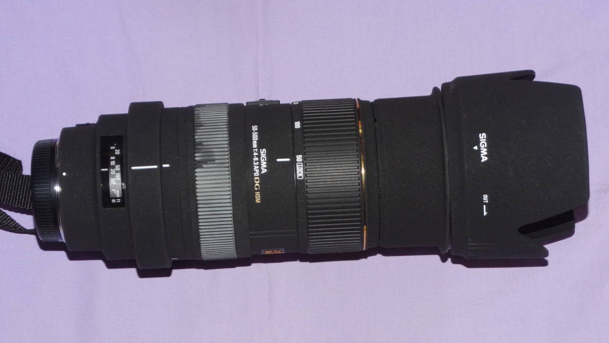 DG 50-500mm HSM APO OS F4.5-6.3 シグマ : SIGMA Sigma SIGMA（シグマ