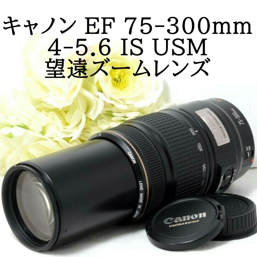 キヤノン EF 75-300mm☆手振れ補正付き望遠レンズ ef75-300mm f4-5.6