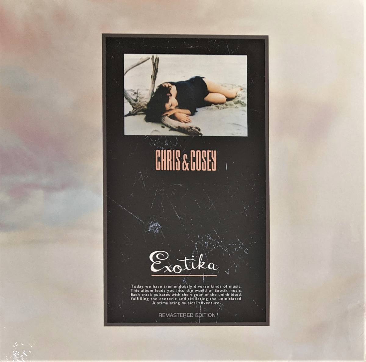 Throbbing Gristle CHRIS AND COSEY関連12枚 Chris Cosey & クリスアンドコージー throbbing chris＆cosey
